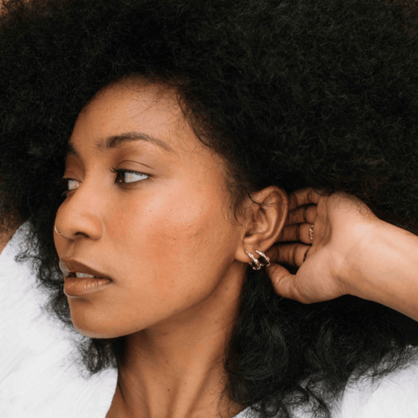 Hydrangea hoops